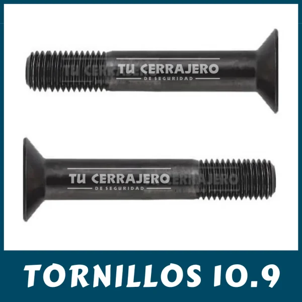 TORNILLOS reforzados ESCUDOS dureza 10.9