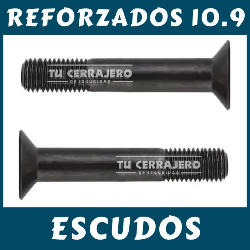 TORNILLOS REFORZADOS 10.9 ESCUDO
